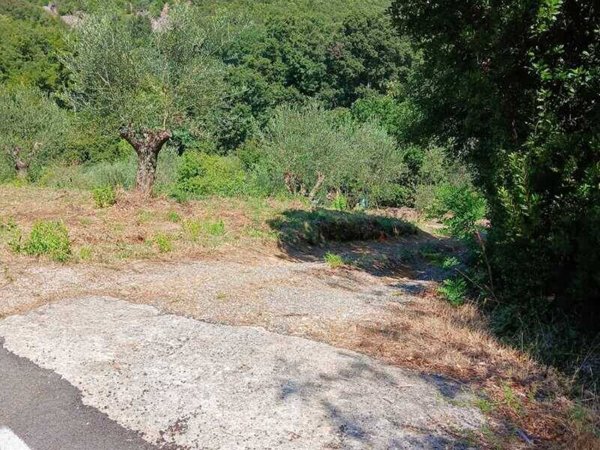 terreno agricolo in vendita a Gavorrano in zona Caldana
