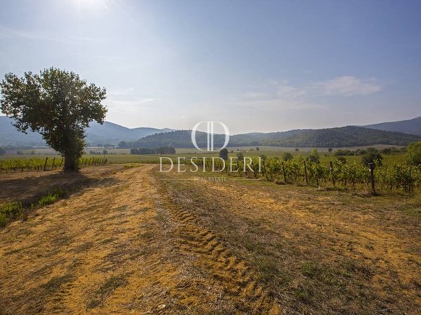 azienda agricola in vendita a Gavorrano in zona Grilli