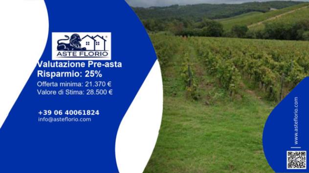 terreno agricolo in vendita a Gavorrano