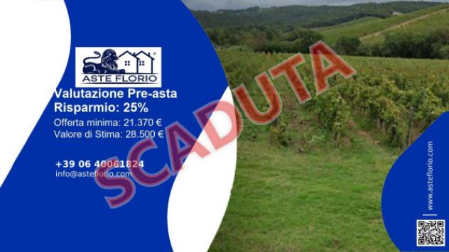 terreno agricolo in vendita a Gavorrano