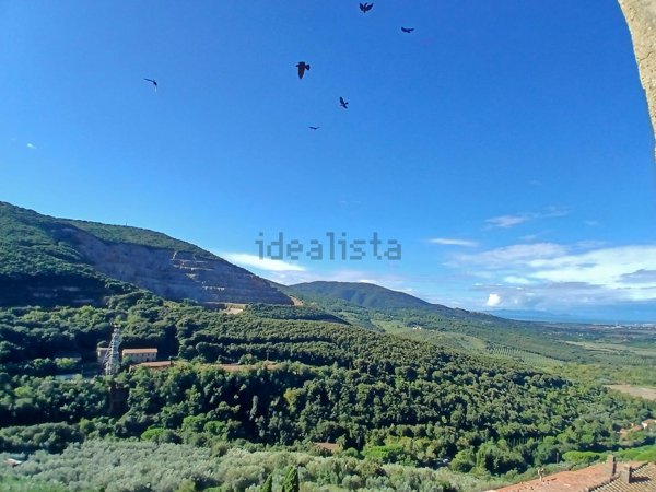 appartamento in vendita a Gavorrano