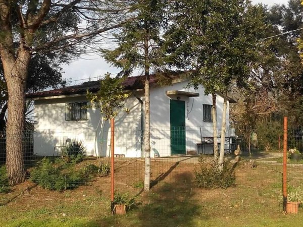 casa indipendente in vendita a Gavorrano
