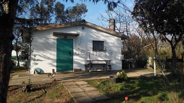 appartamento in vendita a Gavorrano