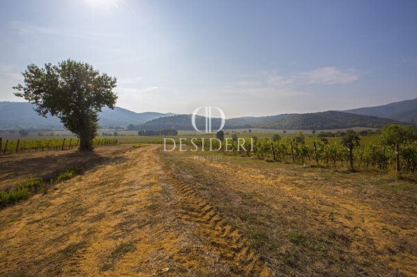 azienda agricola in vendita a Gavorrano in zona Grilli
