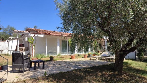 ufficio in vendita a Gavorrano