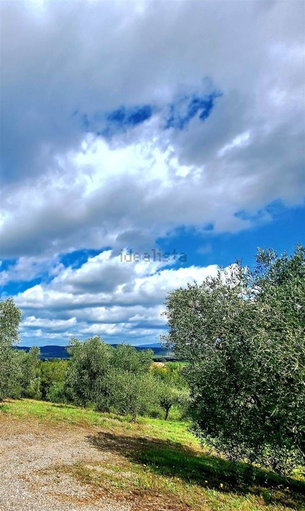 terreno agricolo in vendita a Gavorrano in zona Bagno di Gavorrano
