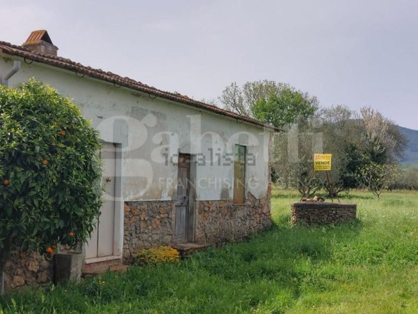 terreno agricolo in vendita a Gavorrano in zona Bagno di Gavorrano
