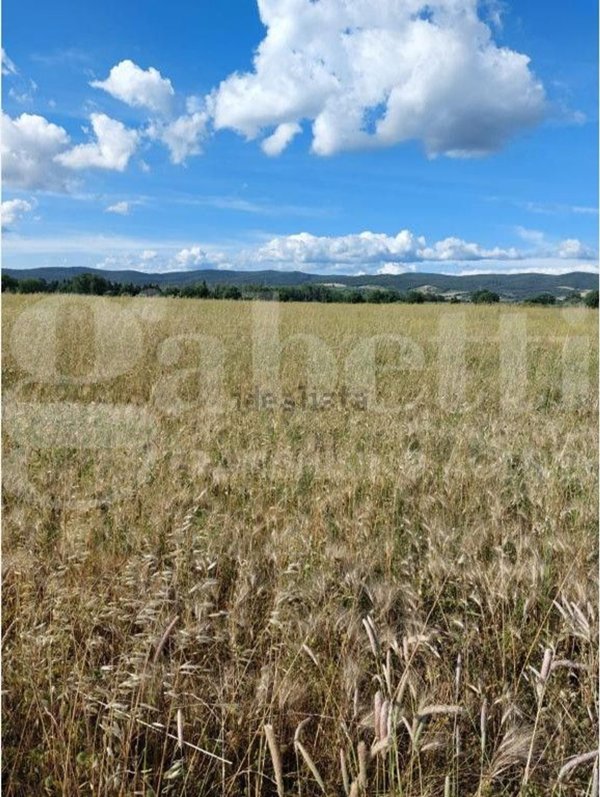 terreno agricolo in vendita a Gavorrano in zona Bagno di Gavorrano