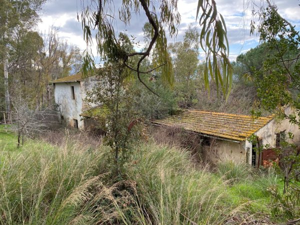 casale in vendita a Gavorrano