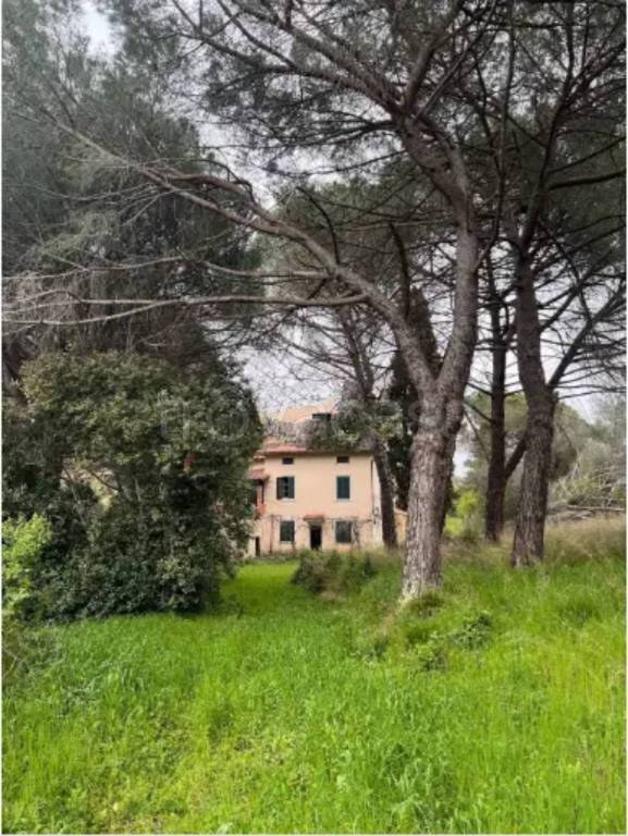casa indipendente in vendita a Gavorrano