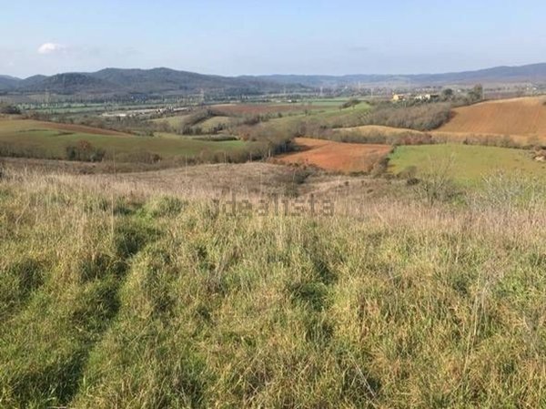 pentavano in vendita a Gavorrano