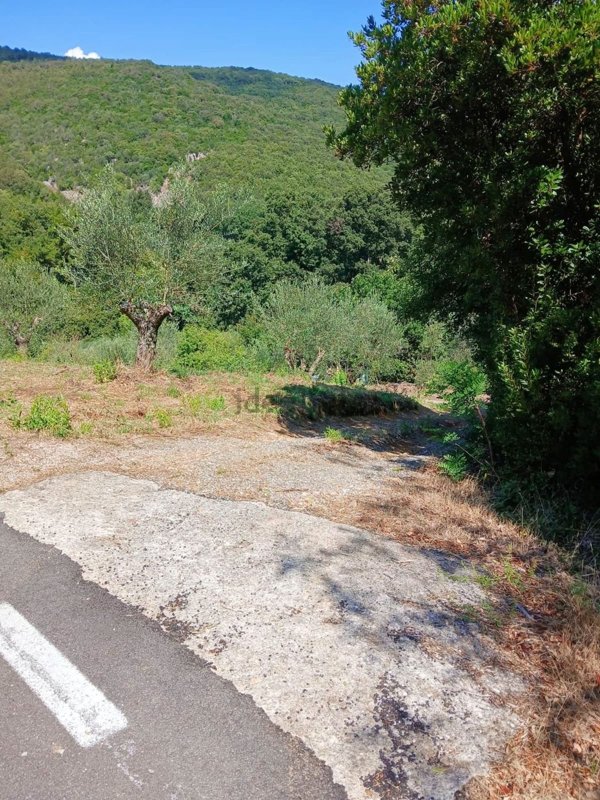 terreno agricolo in vendita a Gavorrano in zona Caldana