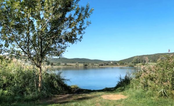 terreno agricolo in vendita a Gavorrano