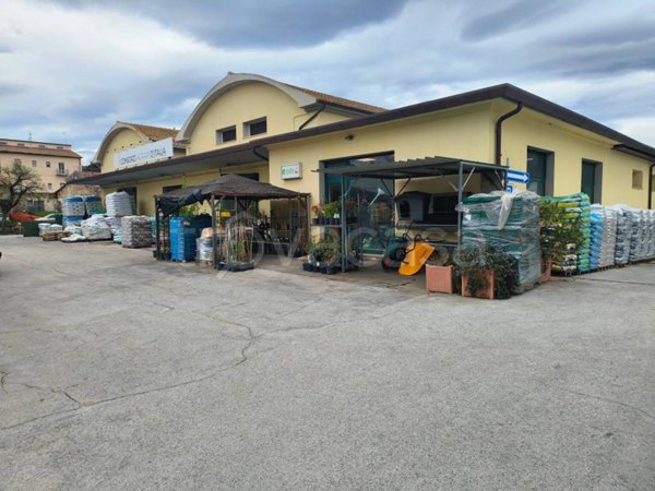 ufficio in vendita a Gavorrano in zona Grilli