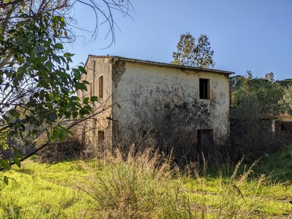 negozio in vendita a Gavorrano