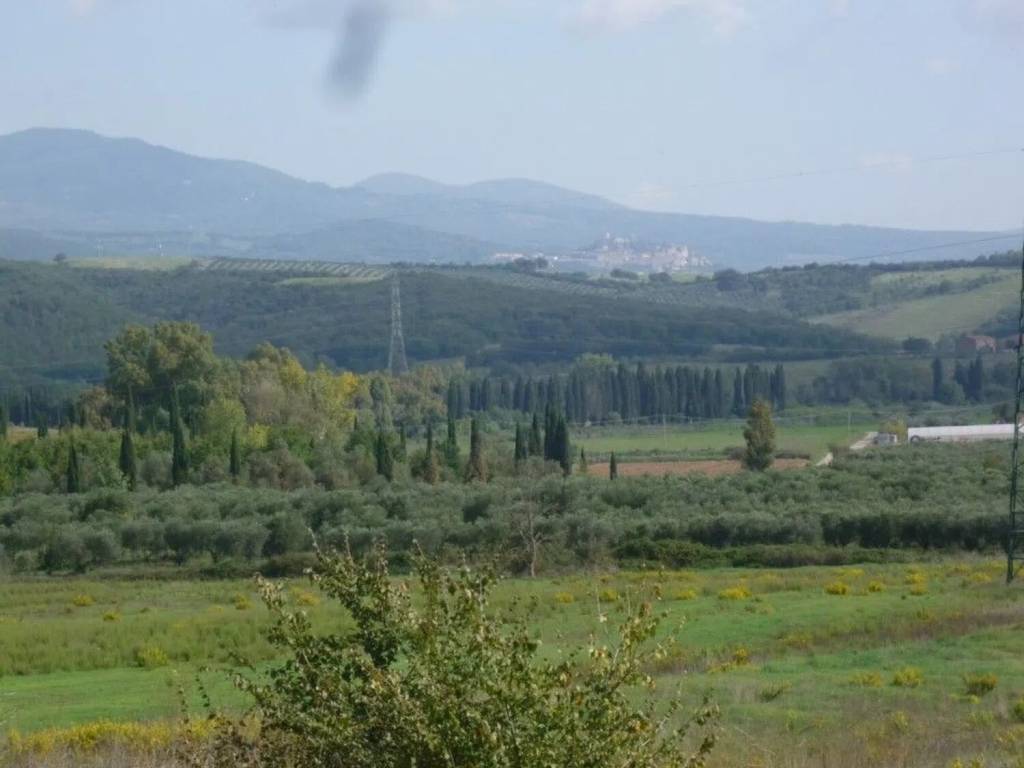 terreno agricolo in vendita a Gavorrano