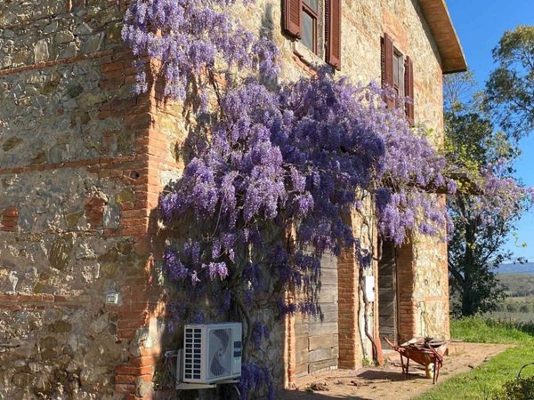casa indipendente in vendita a Gavorrano