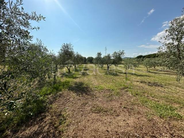 appartamento in vendita a Gavorrano in zona Bagno di Gavorrano