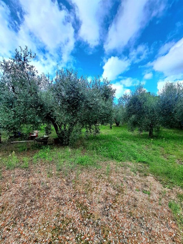 terreno agricolo in vendita a Gavorrano in zona Bagno di Gavorrano