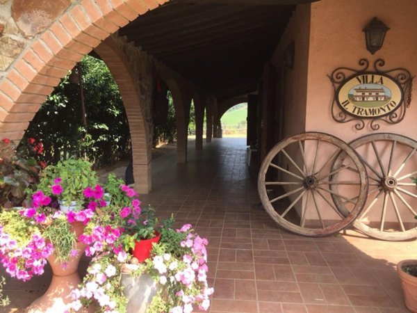 azienda agricola in vendita a Gavorrano