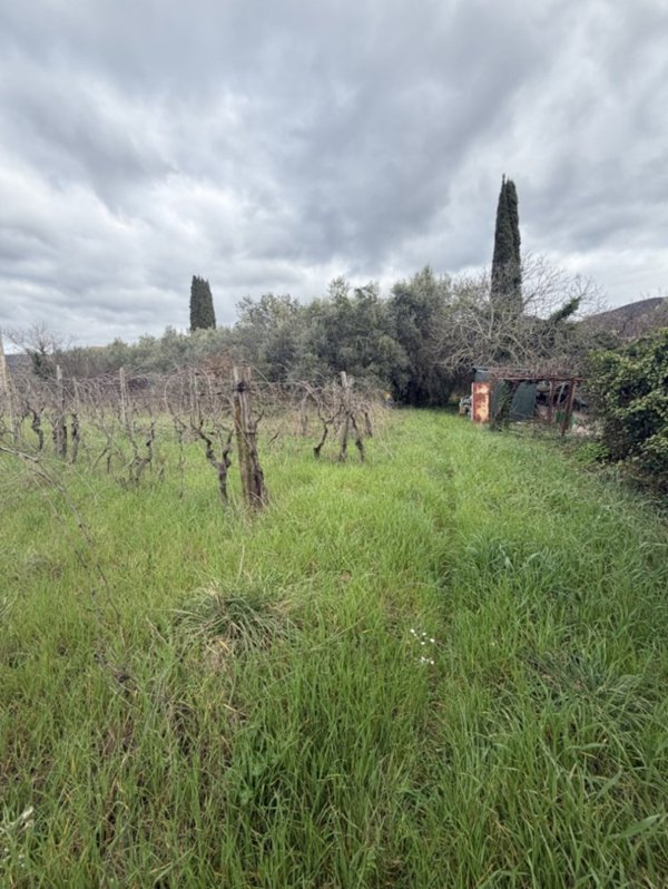 terreno agricolo in vendita a Gavorrano in zona Bagno di Gavorrano