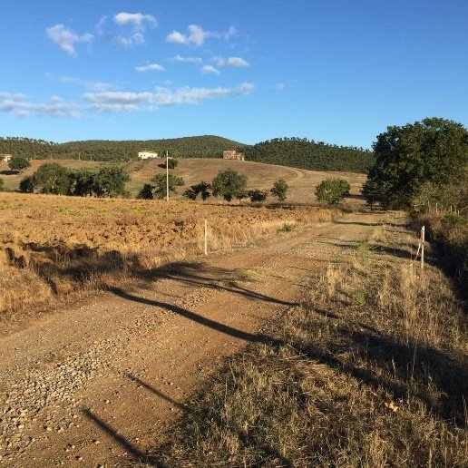 appartamento in vendita a Gavorrano in zona Ravi