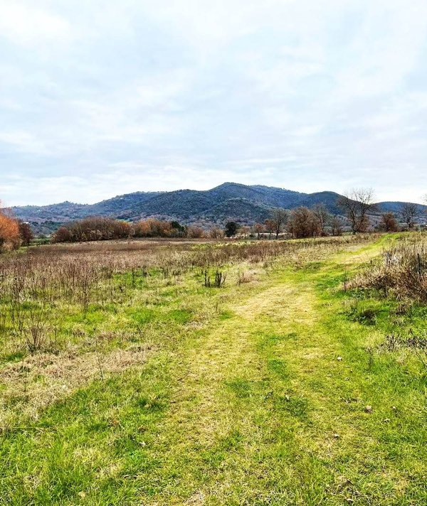 terreno agricolo in vendita a Gavorrano in zona Caldana