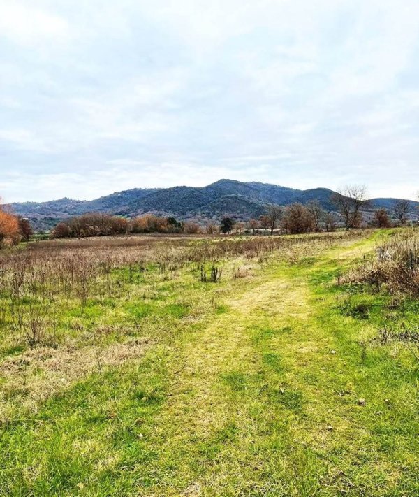 appartamento in vendita a Gavorrano in zona Caldana