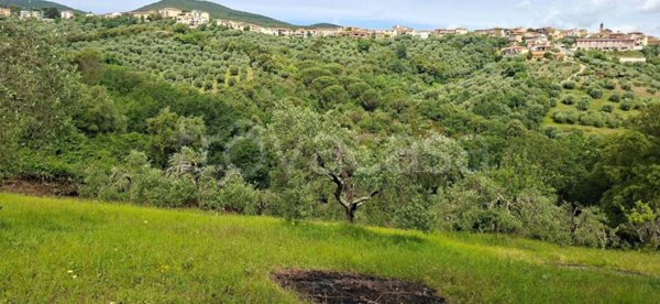 terreno agricolo in vendita a Gavorrano in zona Caldana