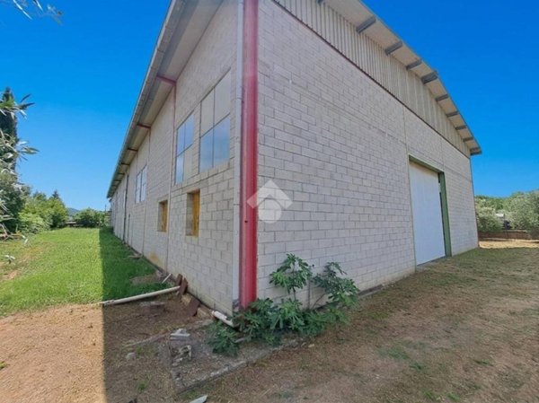 casa indipendente in vendita a Gavorrano in zona Caldana