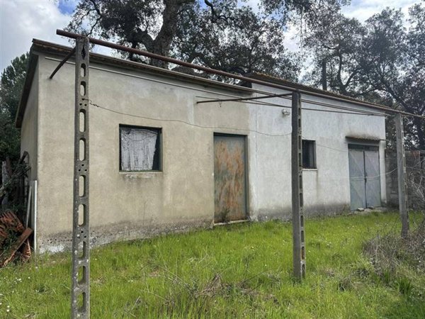 terreno agricolo in vendita a Gavorrano