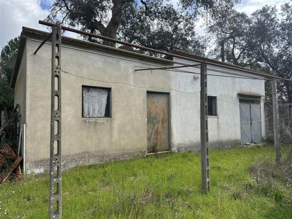terreno agricolo in vendita a Gavorrano in zona Caldana