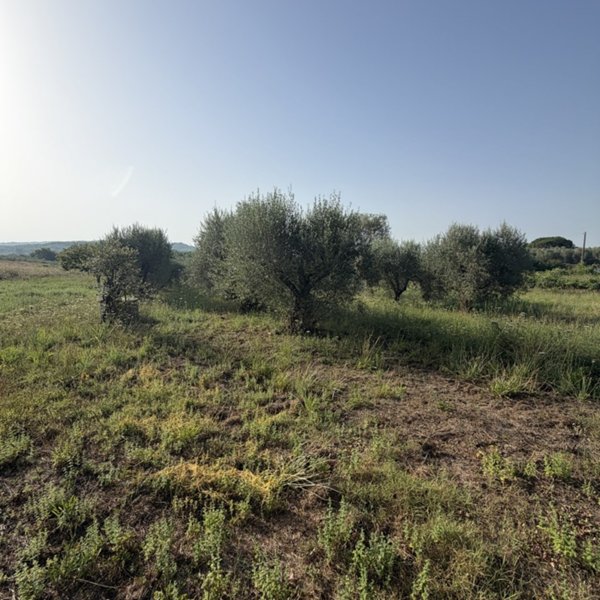 terreno agricolo in vendita a Gavorrano in zona Ravi
