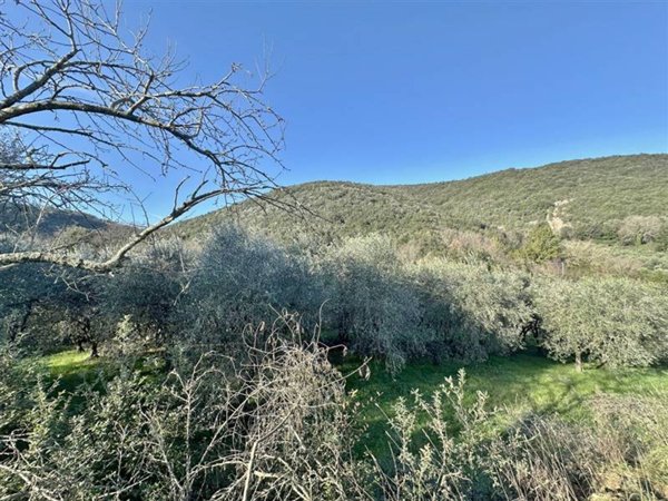 terreno agricolo in vendita a Gavorrano