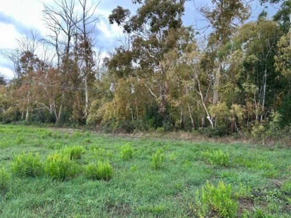 terreno in vendita a Gavorrano