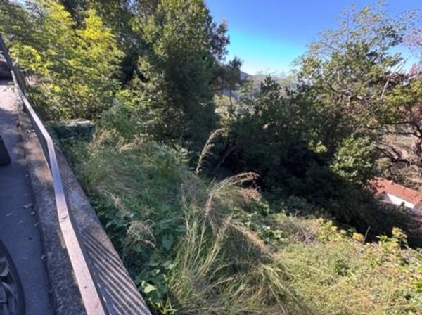 terreno in vendita a Gavorrano