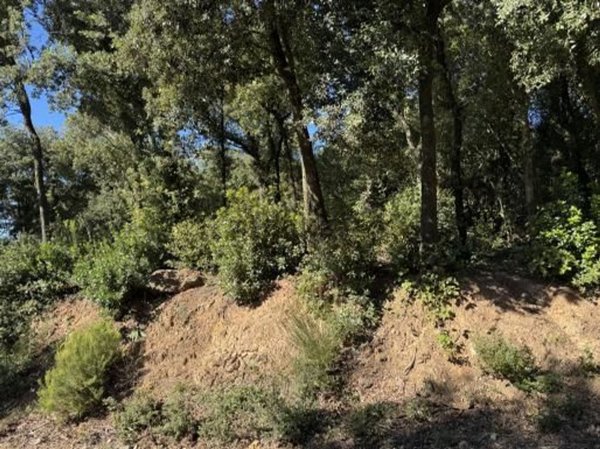 terreno in vendita a Gavorrano