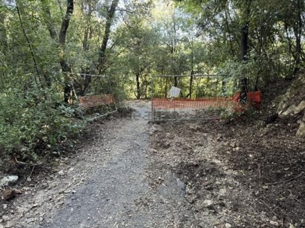 terreno in vendita a Gavorrano in zona Filare