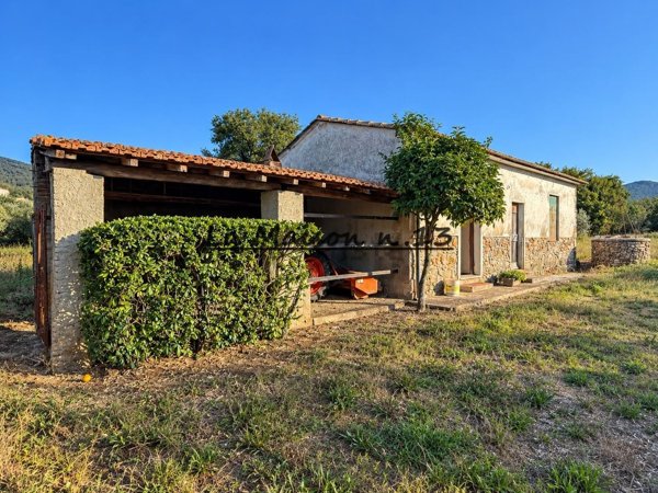 appartamento in vendita a Gavorrano