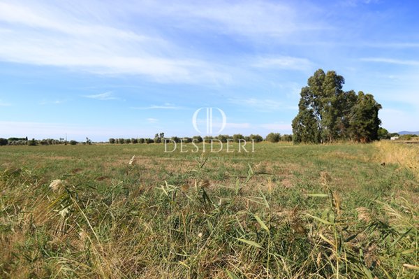 terreno agricolo in vendita a Grosseto in zona Centro Raccolta Quadrupedi