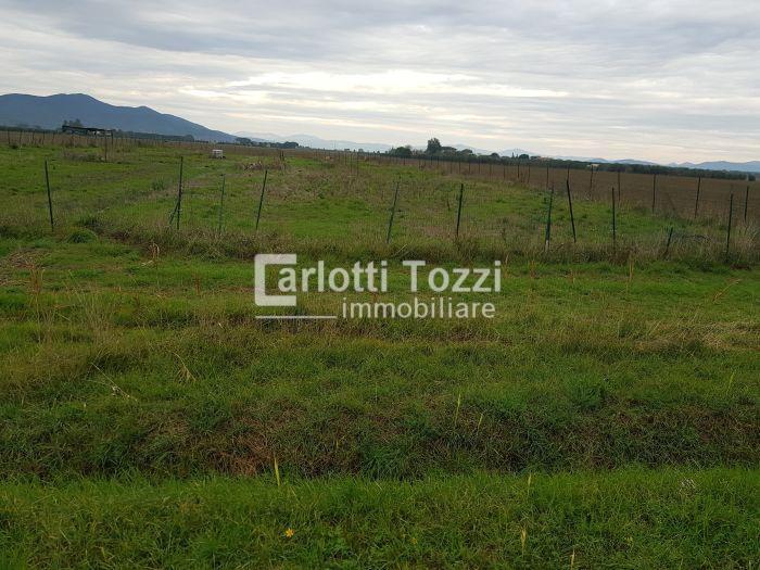negozio in vendita a Grosseto