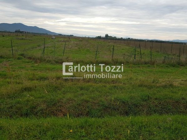 terreno agricolo in vendita a Grosseto