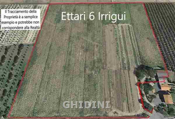 terreno agricolo in vendita a Grosseto