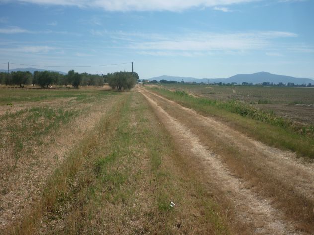 terreno agricolo in vendita a Grosseto in zona Rugginosina