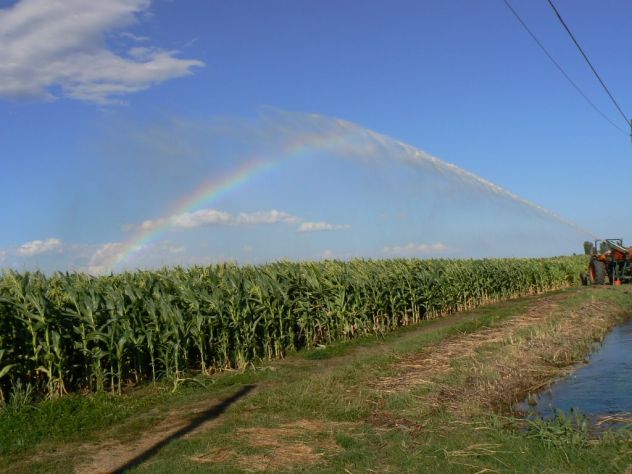 azienda agricola in vendita a Grosseto