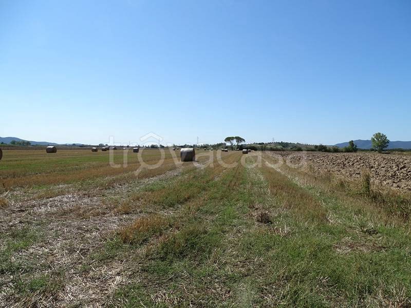 terreno agricolo in vendita a Grosseto in zona Braccagni