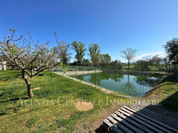 terreno agricolo in vendita a Grosseto in zona Istia d'Ombrone-Le Stiacciole