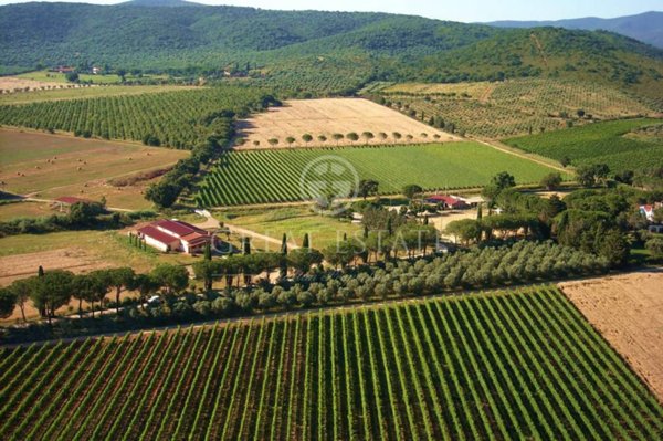 locale di sgombero in vendita a Grosseto in zona Braccagni