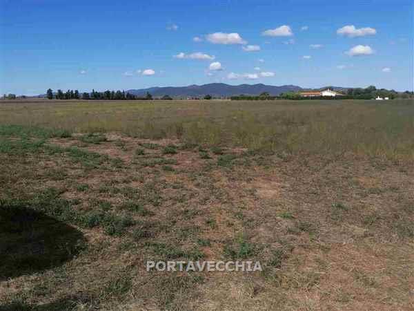 terreno agricolo in vendita a Grosseto