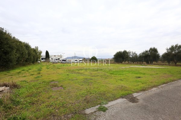 terreno edificabile in vendita a Grosseto in zona Centro Città